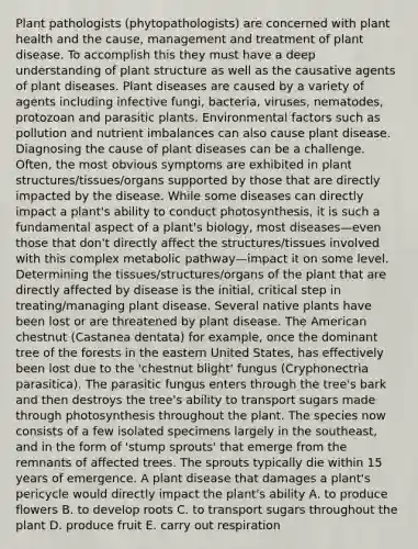 Plant pathologists (phytopathologists) are concerned with plant health and the cause, management and treatment of plant disease. To accomplish this they must have a deep understanding of plant structure as well as the causative agents of plant diseases. Plant diseases are caused by a variety of agents including infective fungi, bacteria, viruses, nematodes, protozoan and parasitic plants. Environmental factors such as pollution and nutrient imbalances can also cause plant disease. Diagnosing the cause of plant diseases can be a challenge. Often, the most obvious symptoms are exhibited in plant structures/tissues/organs supported by those that are directly impacted by the disease. While some diseases can directly impact a plant's ability to conduct photosynthesis, it is such a fundamental aspect of a plant's biology, most diseases—even those that don't directly affect the structures/tissues involved with this complex metabolic pathway—impact it on some level. Determining the tissues/structures/organs of the plant that are directly affected by disease is the initial, critical step in treating/managing plant disease. Several native plants have been lost or are threatened by plant disease. The American chestnut (Castanea dentata) for example, once the dominant tree of the forests in the eastern United States, has effectively been lost due to the 'chestnut blight' fungus (Cryphonectria parasitica). The parasitic fungus enters through the tree's bark and then destroys the tree's ability to transport sugars made through photosynthesis throughout the plant. The species now consists of a few isolated specimens largely in the southeast, and in the form of 'stump sprouts' that emerge from the remnants of affected trees. The sprouts typically die within 15 years of emergence. A plant disease that damages a plant's pericycle would directly impact the plant's ability A. to produce flowers B. to develop roots C. to transport sugars throughout the plant D. produce fruit E. carry out respiration