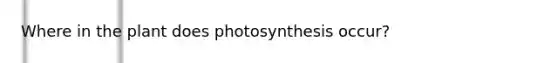 Where in the plant does photosynthesis occur?