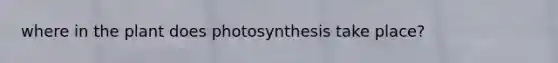 where in the plant does photosynthesis take place?