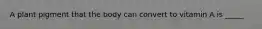 A plant pigment that the body can convert to vitamin A is _____