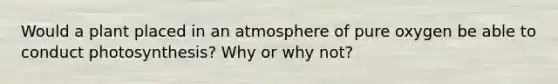 Would a plant placed in an atmosphere of pure oxygen be able to conduct photosynthesis? Why or why not?