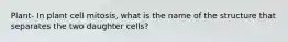 Plant- In plant cell mitosis, what is the name of the structure that separates the two daughter cells?