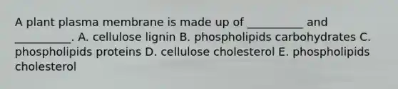 A plant plasma membrane is made up of __________ and __________. A. cellulose lignin B. phospholipids carbohydrates C. phospholipids proteins D. cellulose cholesterol E. phospholipids cholesterol