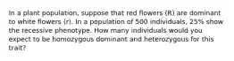 In a plant population, suppose that red flowers (R) are dominant to white flowers (r). In a population of 500 individuals, 25% show the recessive phenotype. How many individuals would you expect to be homozygous dominant and heterozygous for this trait?
