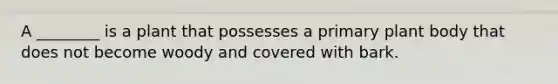 A ________ is a plant that possesses a primary plant body that does not become woody and covered with bark.
