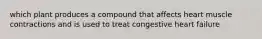 which plant produces a compound that affects heart muscle contractions and is used to treat congestive heart failure
