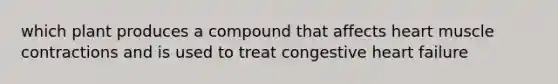 which plant produces a compound that affects heart <a href='https://www.questionai.com/knowledge/k0LBwLeEer-muscle-contraction' class='anchor-knowledge'>muscle contraction</a>s and is used to treat congestive heart failure