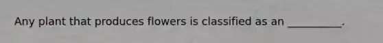 Any plant that produces flowers is classified as an __________.
