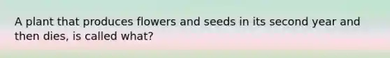 A plant that produces flowers and seeds in its second year and then dies, is called what?