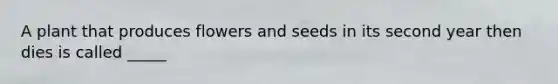 A plant that produces flowers and seeds in its second year then dies is called _____