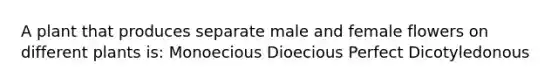 A plant that produces separate male and female flowers on different plants is: Monoecious Dioecious Perfect Dicotyledonous