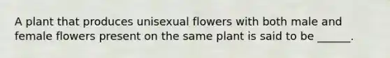 A plant that produces unisexual flowers with both male and female flowers present on the same plant is said to be ______.