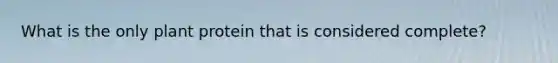 What is the only plant protein that is considered complete?