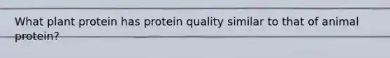 What plant protein has protein quality similar to that of animal protein?