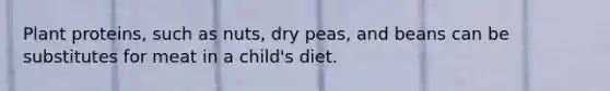 Plant proteins, such as nuts, dry peas, and beans can be substitutes for meat in a child's diet.