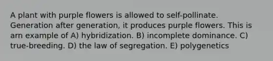 A plant with purple flowers is allowed to self-pollinate. Generation after generation, it produces purple flowers. This is arn example of A) hybridization. B) incomplete dominance. C) true-breeding. D) the law of segregation. E) polygenetics