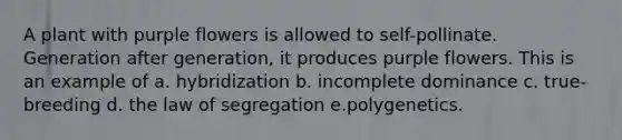 A plant with purple flowers is allowed to self-pollinate. Generation after generation, it produces purple flowers. This is an example of a. hybridization b. incomplete dominance c. true-breeding d. the law of segregation e.polygenetics.