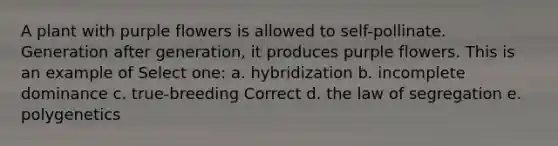 A plant with purple flowers is allowed to self-pollinate. Generation after generation, it produces purple flowers. This is an example of Select one: a. hybridization b. incomplete dominance c. true-breeding Correct d. the law of segregation e. polygenetics