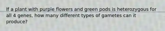 If a plant with purple flowers and green pods is heterozygous for all 4 genes, how many different types of gametes can it produce?