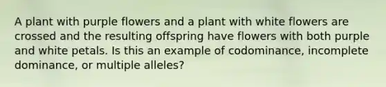 A plant with purple flowers and a plant with white flowers are crossed and the resulting offspring have flowers with both purple and white petals. Is this an example of codominance, incomplete dominance, or multiple alleles?