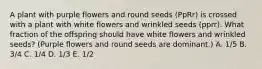 A plant with purple flowers and round seeds (PpRr) is crossed with a plant with white flowers and wrinkled seeds (pprr). What fraction of the offspring should have white flowers and wrinkled seeds? (Purple flowers and round seeds are dominant.) A. 1/5 B. 3/4 C. 1/4 D. 1/3 E. 1/2