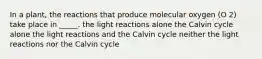 In a plant, the reactions that produce molecular oxygen (O 2) take place in _____. the light reactions alone the Calvin cycle alone the light reactions and the Calvin cycle neither the light reactions nor the Calvin cycle