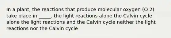 In a plant, the reactions that produce molecular oxygen (O 2) take place in _____. the <a href='https://www.questionai.com/knowledge/kSUoWrrvoC-light-reactions' class='anchor-knowledge'>light reactions</a> alone the Calvin cycle alone the light reactions and the Calvin cycle neither the light reactions nor the Calvin cycle