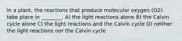 In a plant, the reactions that produce molecular oxygen (O2) take place in ________. A) the light reactions alone B) the Calvin cycle alone C) the light reactions and the Calvin cycle D) neither the light reactions nor the Calvin cycle