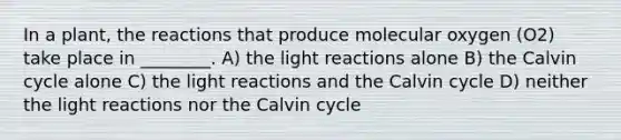 In a plant, the reactions that produce molecular oxygen (O2) take place in ________. A) the light reactions alone B) the Calvin cycle alone C) the light reactions and the Calvin cycle D) neither the light reactions nor the Calvin cycle