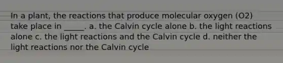 In a plant, the reactions that produce molecular oxygen (O2) take place in _____. a. the Calvin cycle alone b. the light reactions alone c. the light reactions and the Calvin cycle d. neither the light reactions nor the Calvin cycle