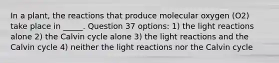 In a plant, the reactions that produce molecular oxygen (O2) take place in _____. Question 37 options: 1) the light reactions alone 2) the Calvin cycle alone 3) the light reactions and the Calvin cycle 4) neither the light reactions nor the Calvin cycle