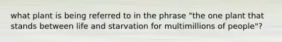 what plant is being referred to in the phrase "the one plant that stands between life and starvation for multimillions of people"?