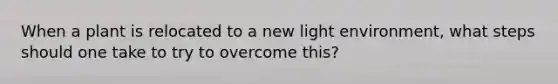 When a plant is relocated to a new light environment, what steps should one take to try to overcome this?