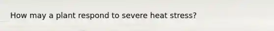 How may a plant respond to severe heat stress?