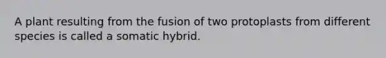 A plant resulting from the fusion of two protoplasts from different species is called a somatic hybrid.