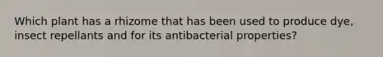 Which plant has a rhizome that has been used to produce dye, insect repellants and for its antibacterial properties?