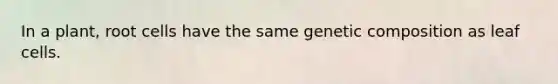 In a plant, root cells have the same genetic composition as leaf cells.
