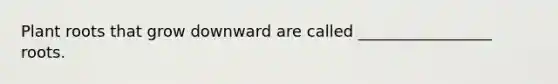 Plant roots that grow downward are called _________________ roots.