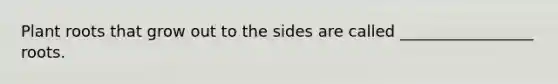 Plant roots that grow out to the sides are called _________________ roots.