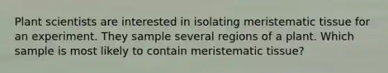 Plant scientists are interested in isolating meristematic tissue for an experiment. They sample several regions of a plant. Which sample is most likely to contain meristematic tissue?