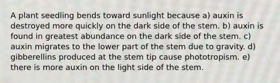 A plant seedling bends toward sunlight because a) auxin is destroyed more quickly on the dark side of the stem. b) auxin is found in greatest abundance on the dark side of the stem. c) auxin migrates to the lower part of the stem due to gravity. d) gibberellins produced at the stem tip cause phototropism. e) there is more auxin on the light side of the stem.