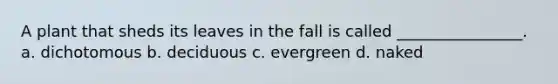 A plant that sheds its leaves in the fall is called ________________. a. dichotomous b. deciduous c. evergreen d. naked