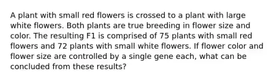 A plant with small red flowers is crossed to a plant with large white flowers. Both plants are true breeding in flower size and color. The resulting F1 is comprised of 75 plants with small red flowers and 72 plants with small white flowers. If flower color and flower size are controlled by a single gene each, what can be concluded from these results?