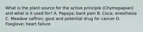 What is the plant source for the active principle (Chymopapian) and what is it used for? A. Papaya; back pain B. Coca; anesthesia C. Meadow saffron; gout and potential drug for cancer D. Foxglove; heart failure