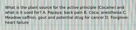 What is the plant source for the active principle (Cocaine) and what is it used for? A. Papaya; back pain B. Coca; anesthesia C. Meadow saffron; gout and potential drug for cancer D. Foxglove; heart failure