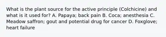 What is the plant source for the active principle (Colchicine) and what is it used for? A. Papaya; back pain B. Coca; anesthesia C. Meadow saffron; gout and potential drug for cancer D. Foxglove; heart failure