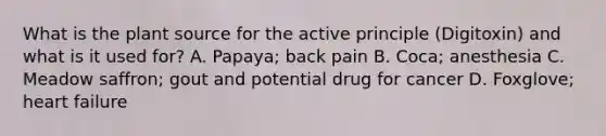 What is the plant source for the active principle (Digitoxin) and what is it used for? A. Papaya; back pain B. Coca; anesthesia C. Meadow saffron; gout and potential drug for cancer D. Foxglove; heart failure