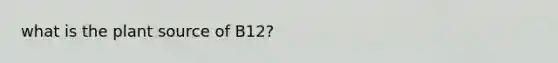 what is the plant source of B12?