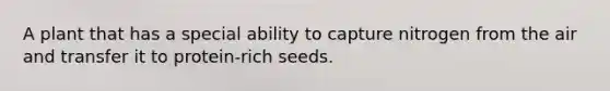 A plant that has a special ability to capture nitrogen from the air and transfer it to protein-rich seeds.