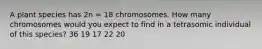 A plant species has 2n = 18 chromosomes. How many chromosomes would you expect to find in a tetrasomic individual of this species? 36 19 17 22 20